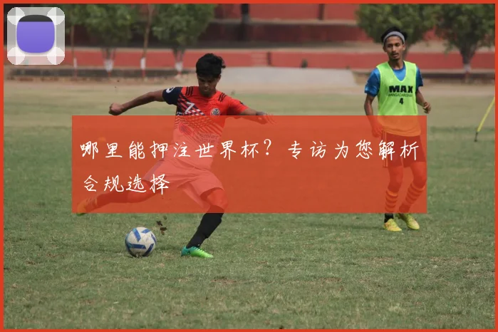 哪里能押注世界杯？专访为您解析合规选择