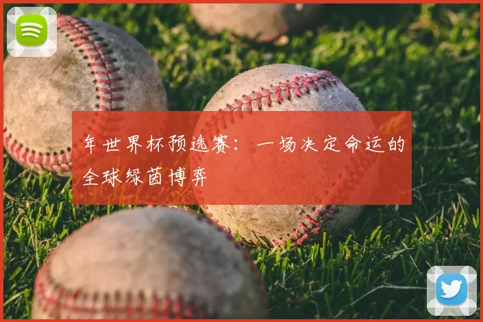 年世界杯预选赛：一场决定命运的全球绿茵博弈