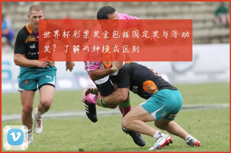 世界杯彩票奖金包括固定奖与浮动奖？了解两种模式区别