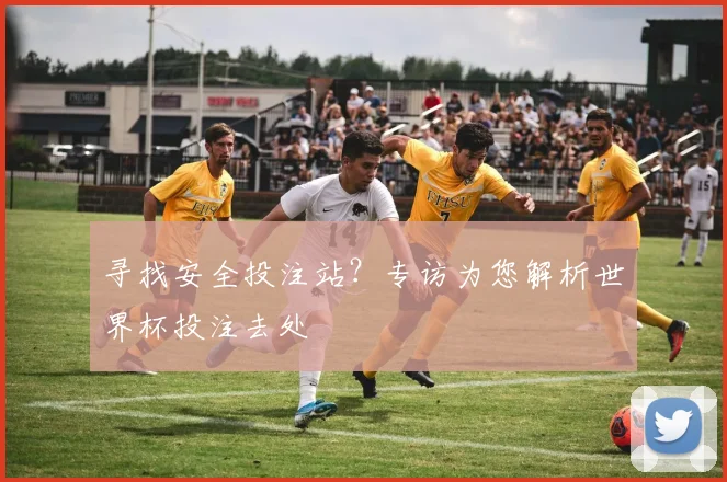寻找安全投注站?专访为您解析世界杯投注去处