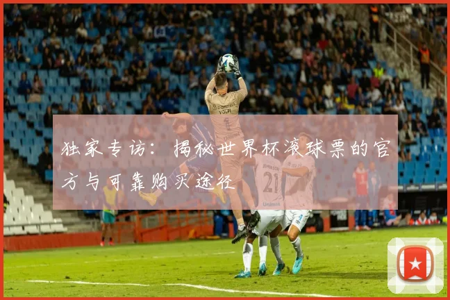 独家专访：揭秘世界杯滚球票的官方与可靠购买途径